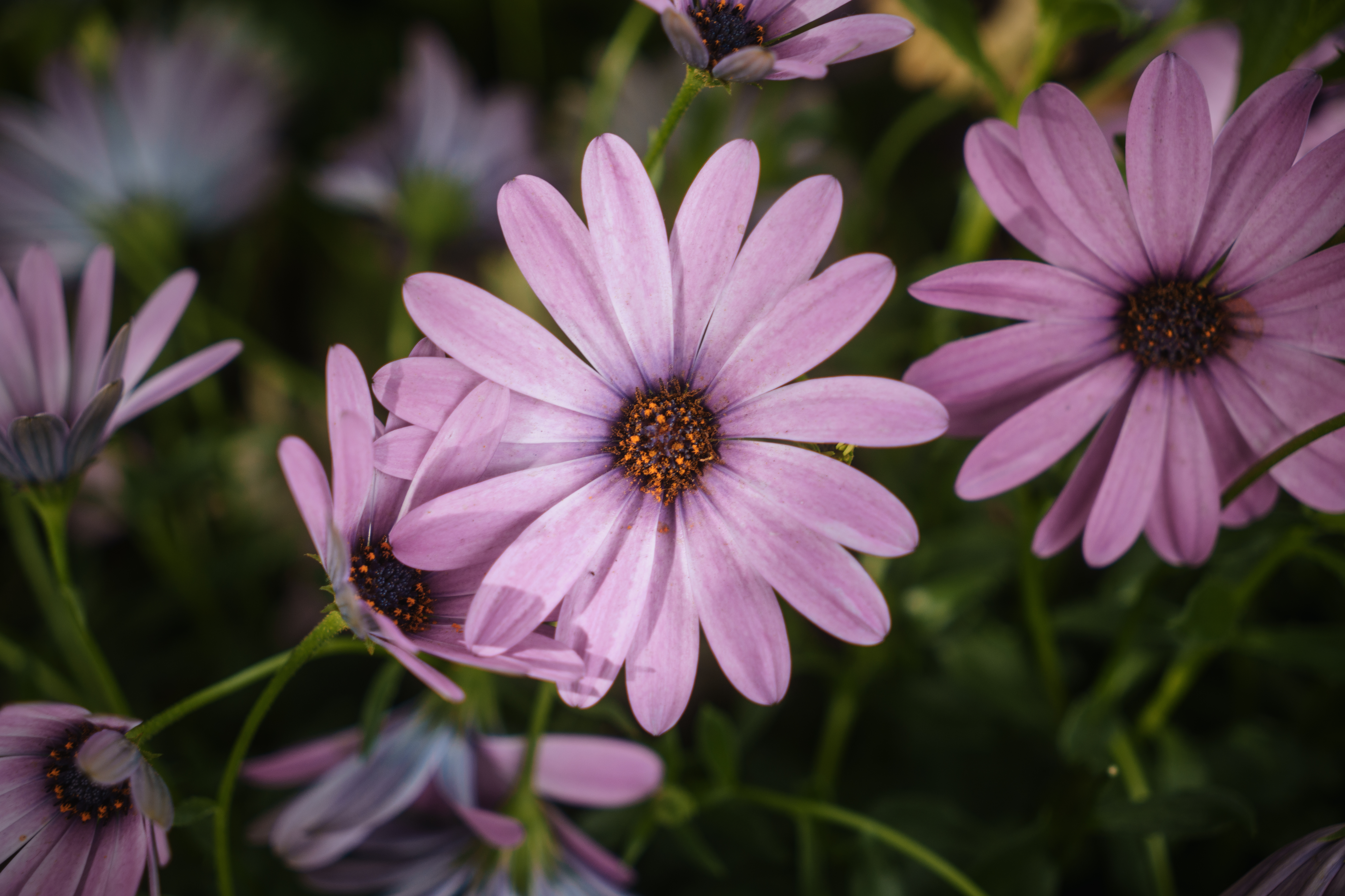 Photo taken on 2025-05-07