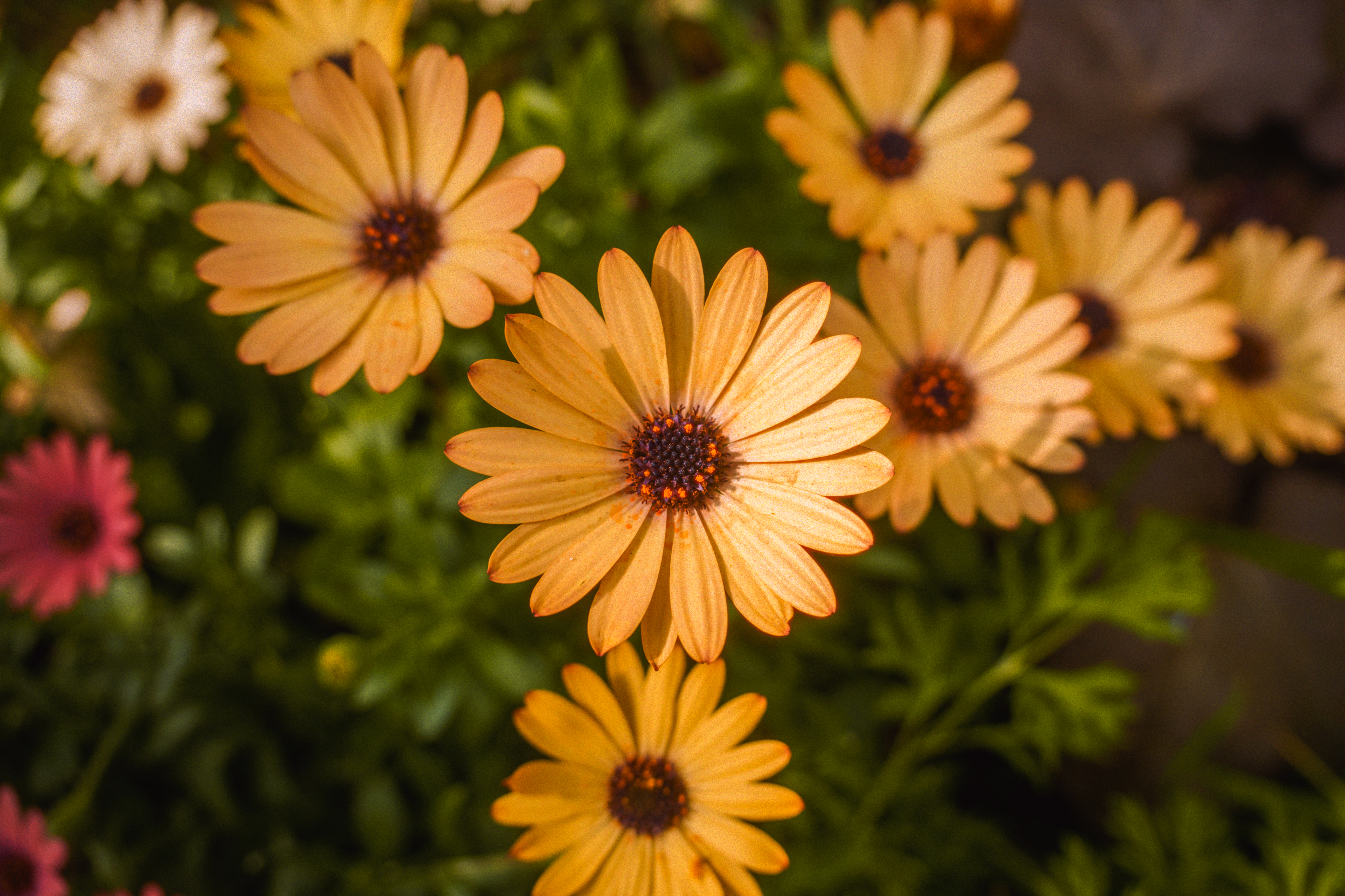 Photo taken on 2025-05-07