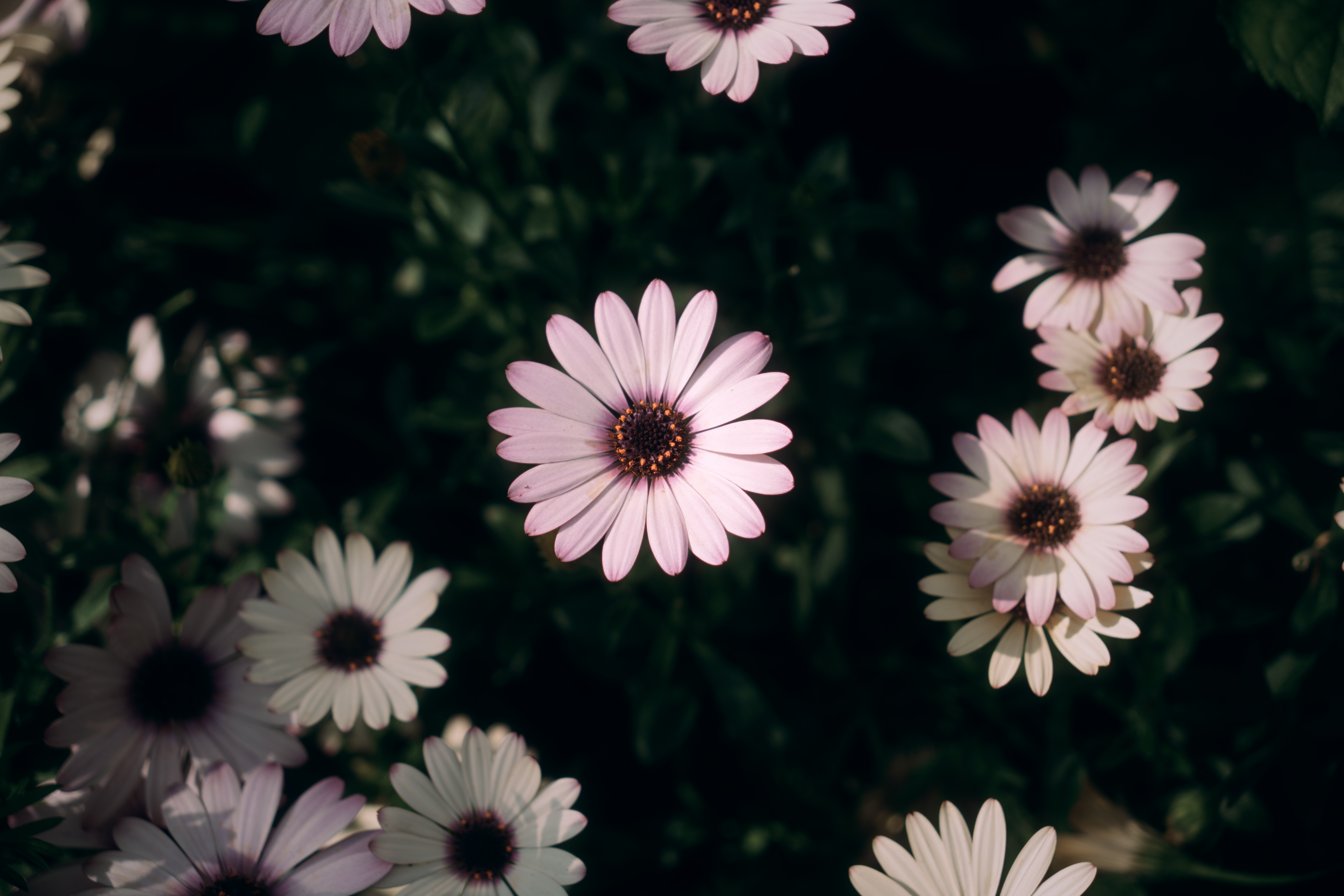 Photo taken on 2025-05-07