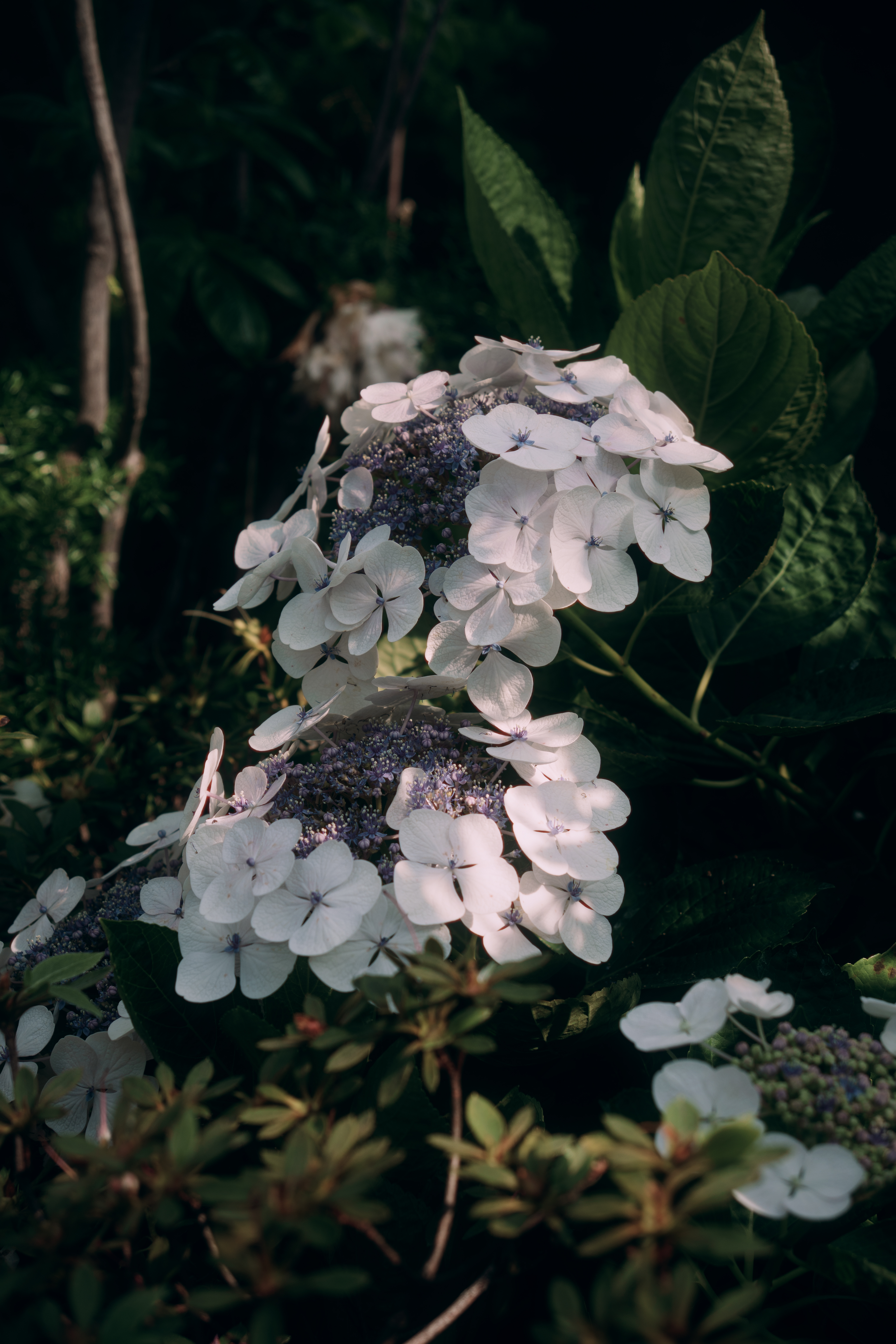 Photo taken on 2025-05-07