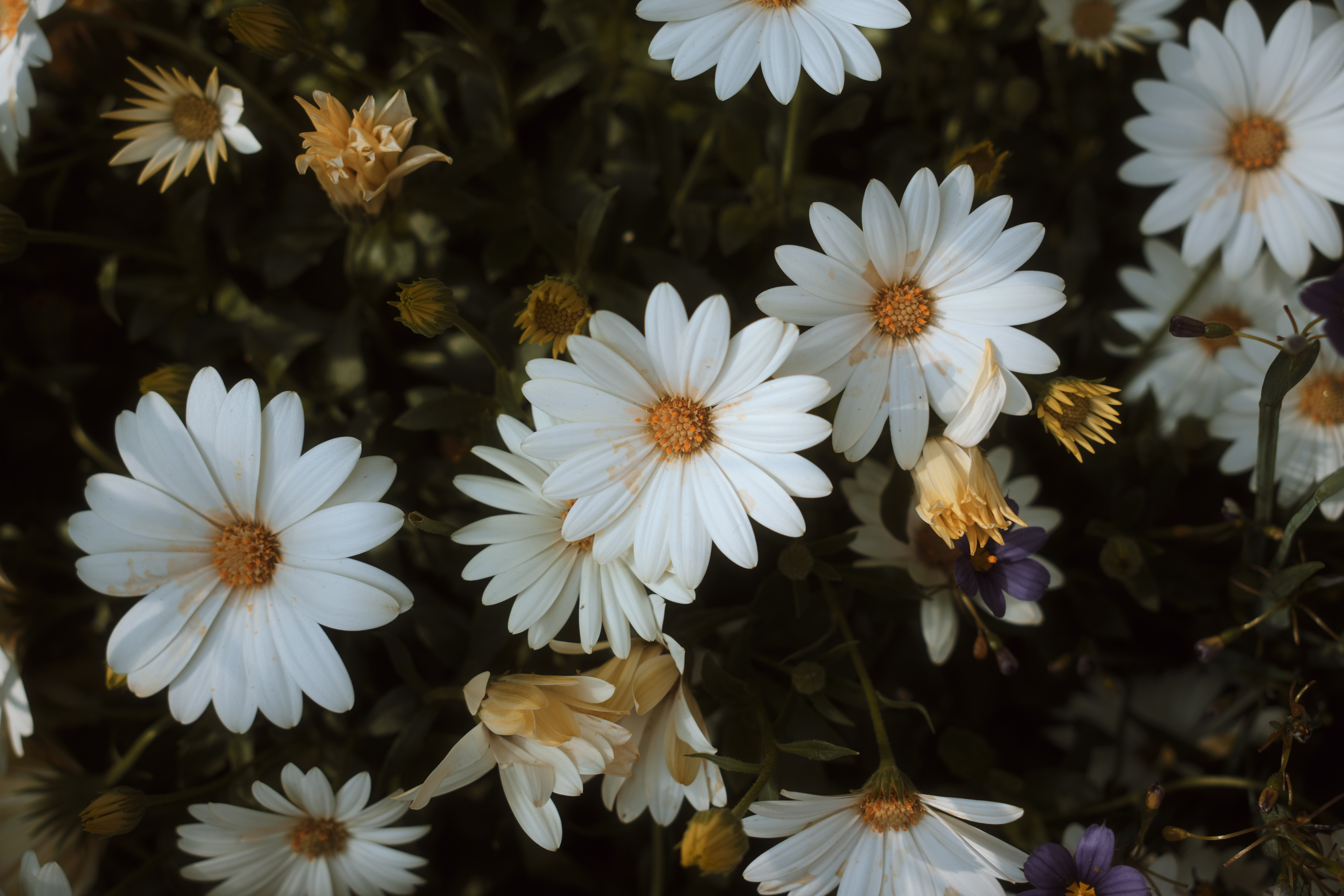 Photo taken on 2025-05-07