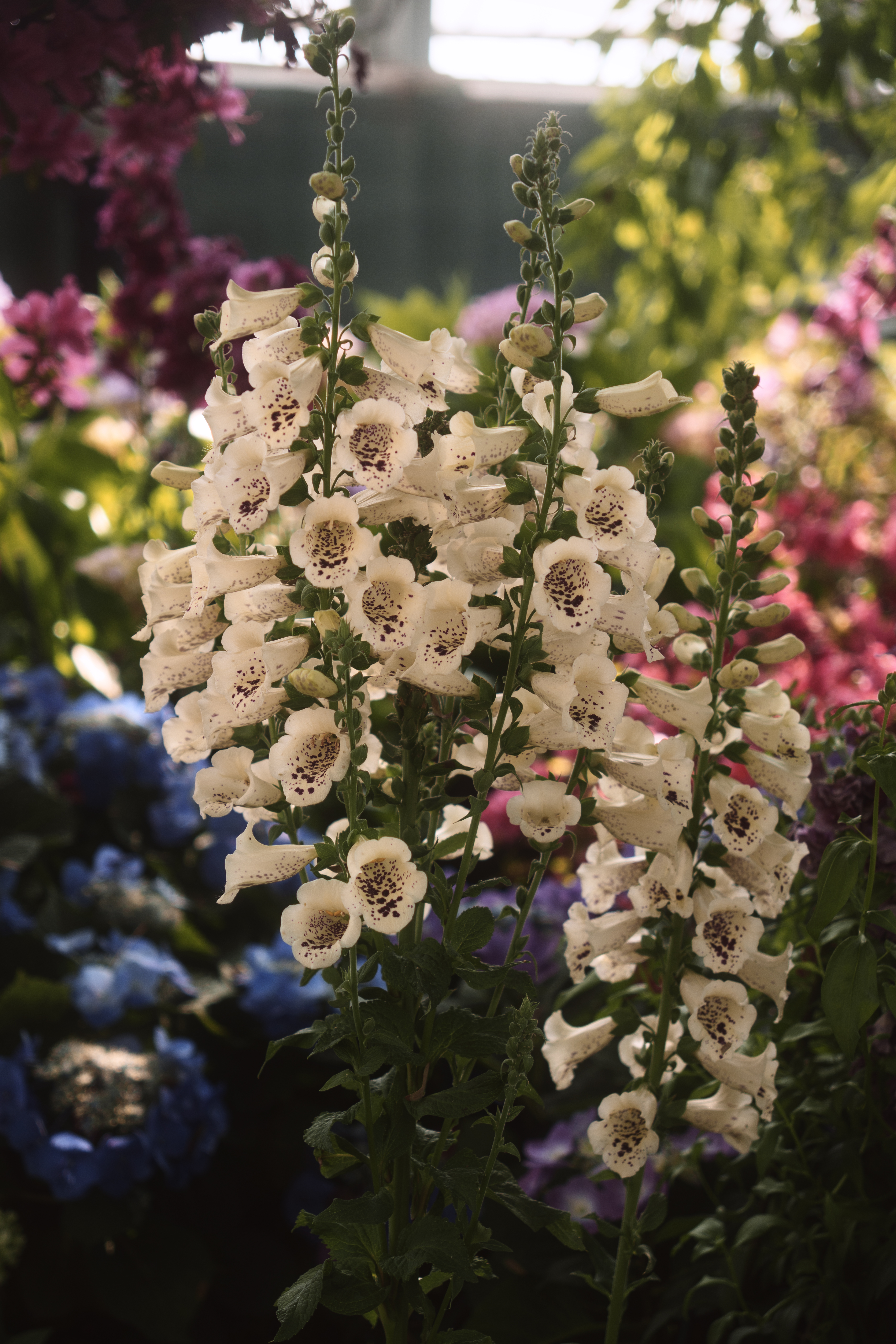 Photo taken on 2025-05-07