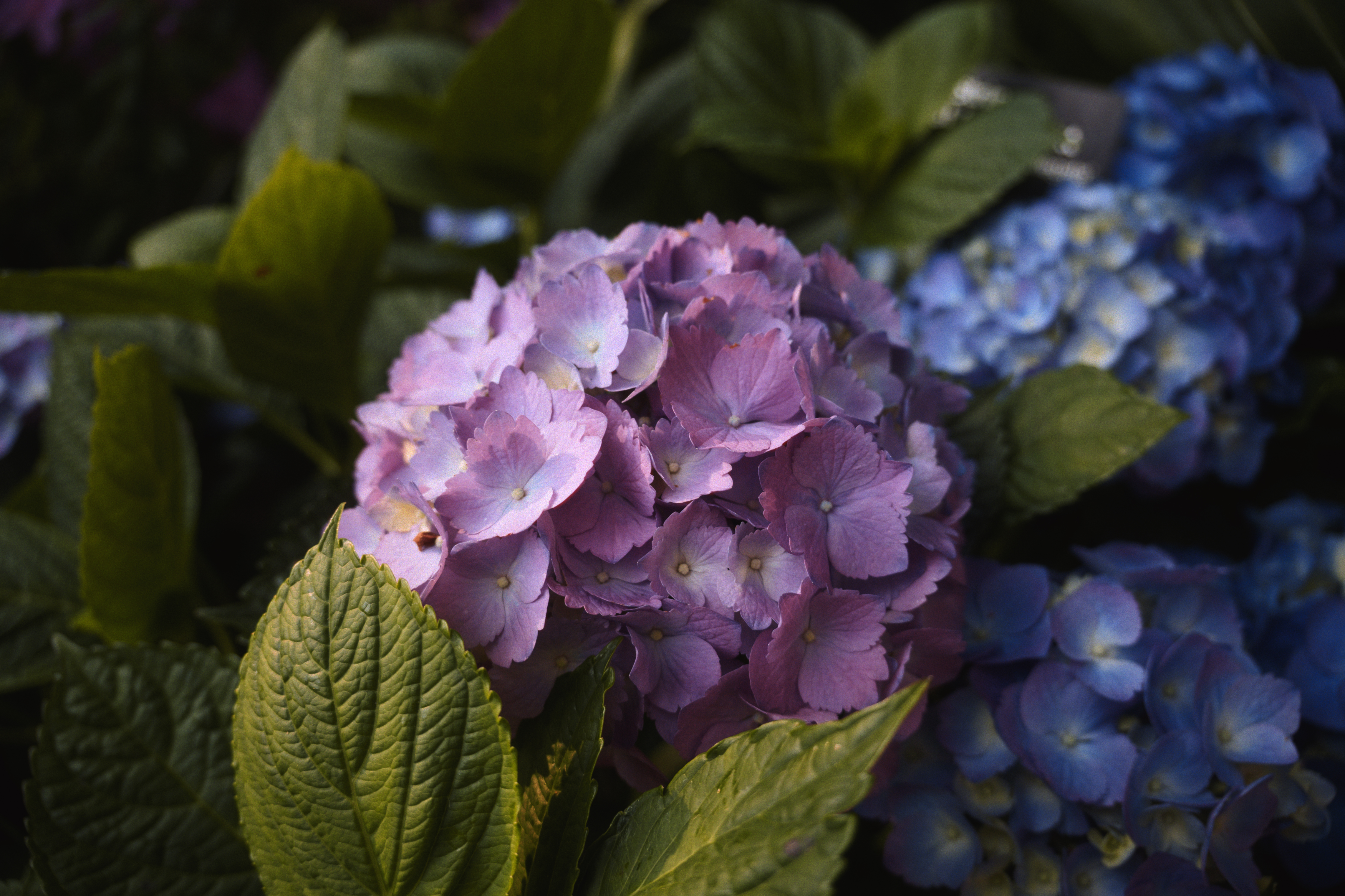 Photo taken on 2025-05-07