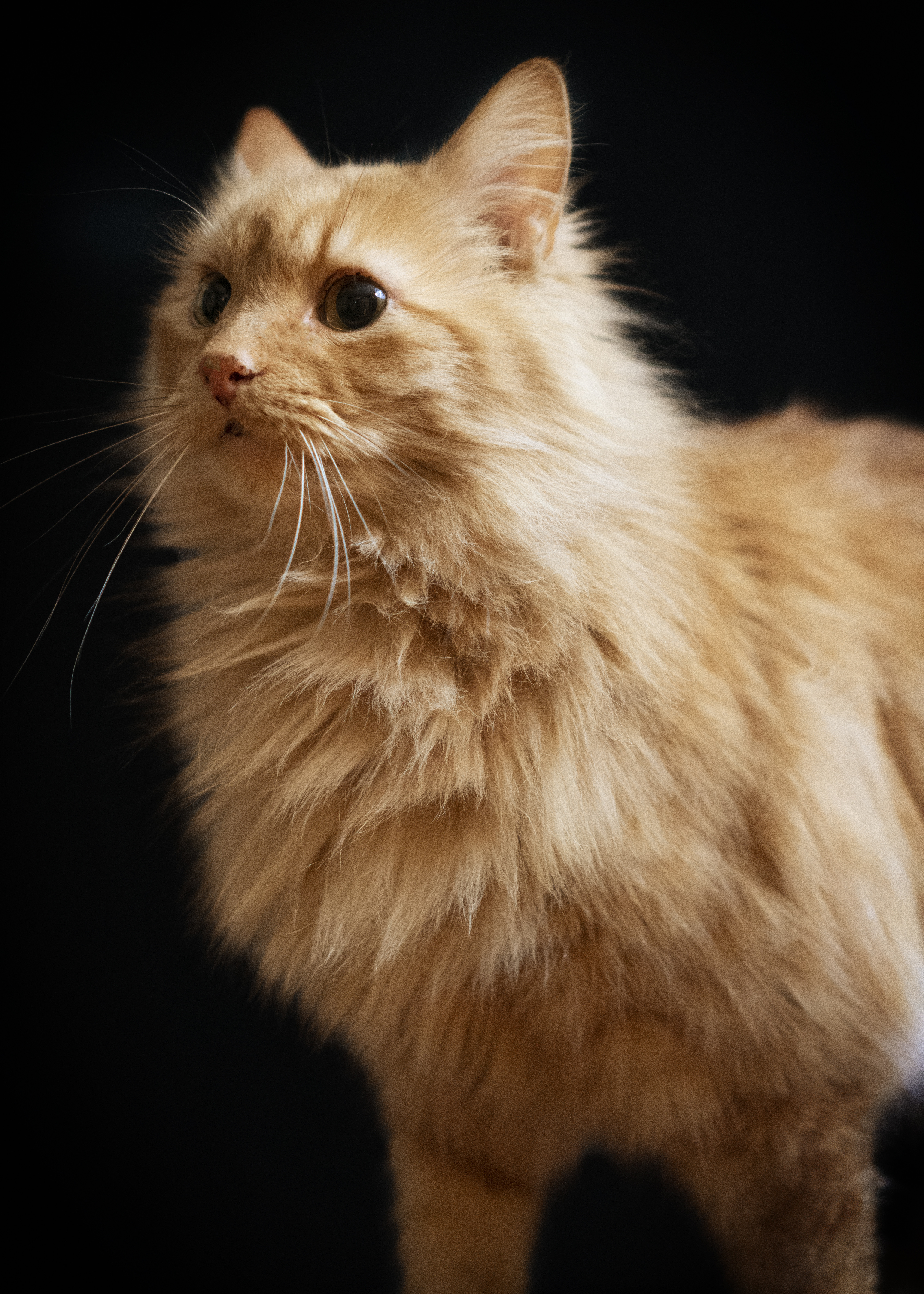 Photo taken on 2019-01-29