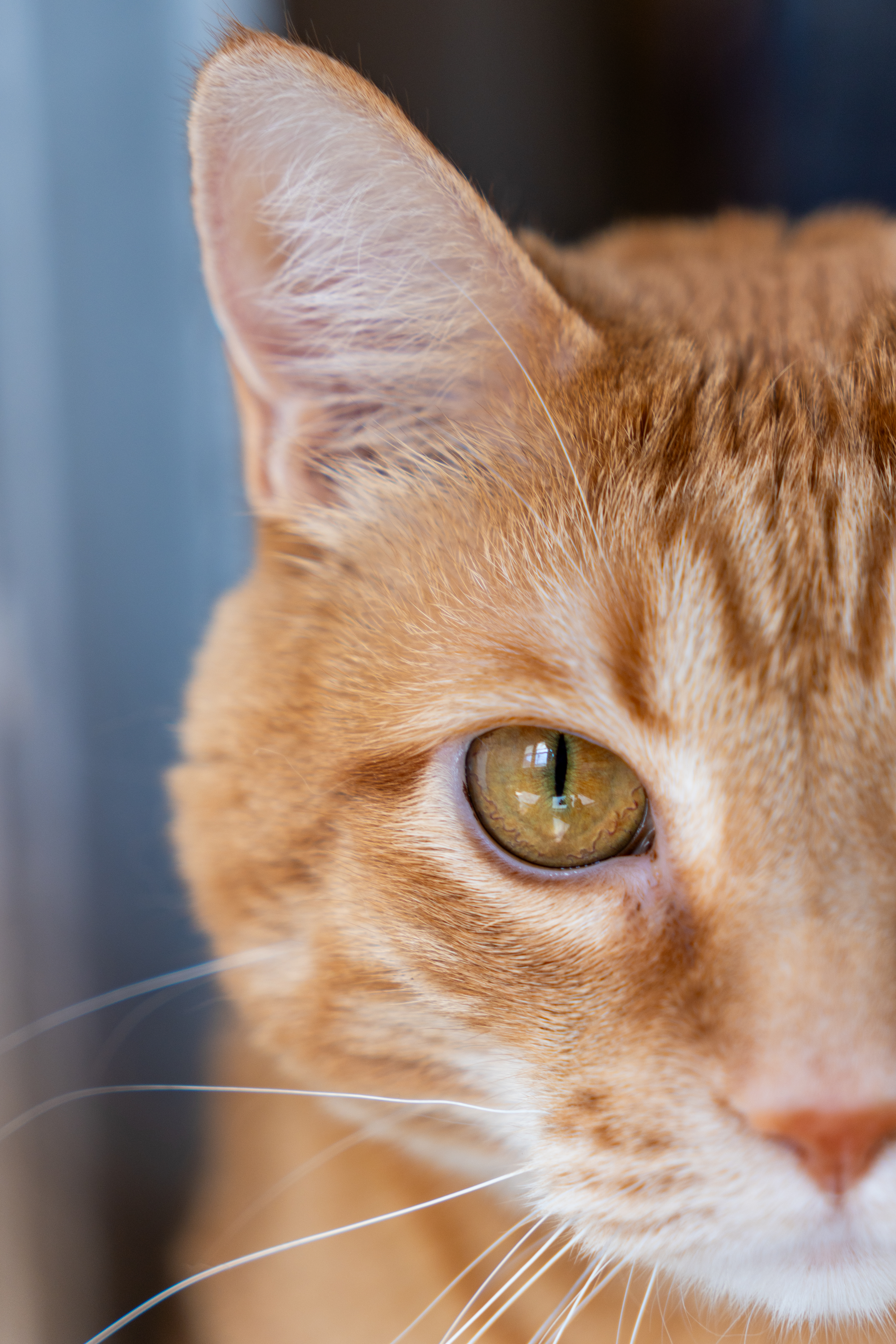 Photo taken on 2024-06-06