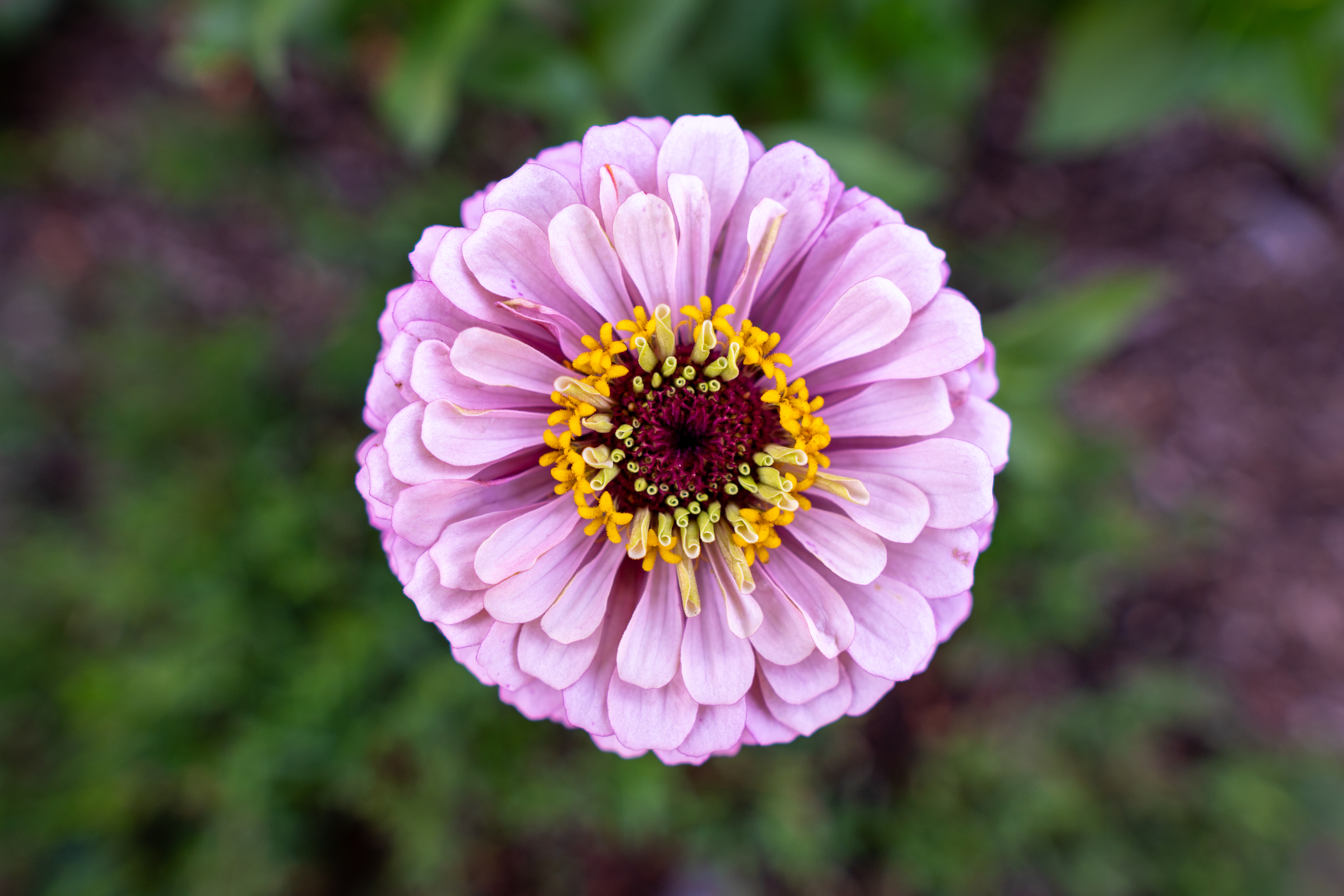 Photo taken on 2024-07-24