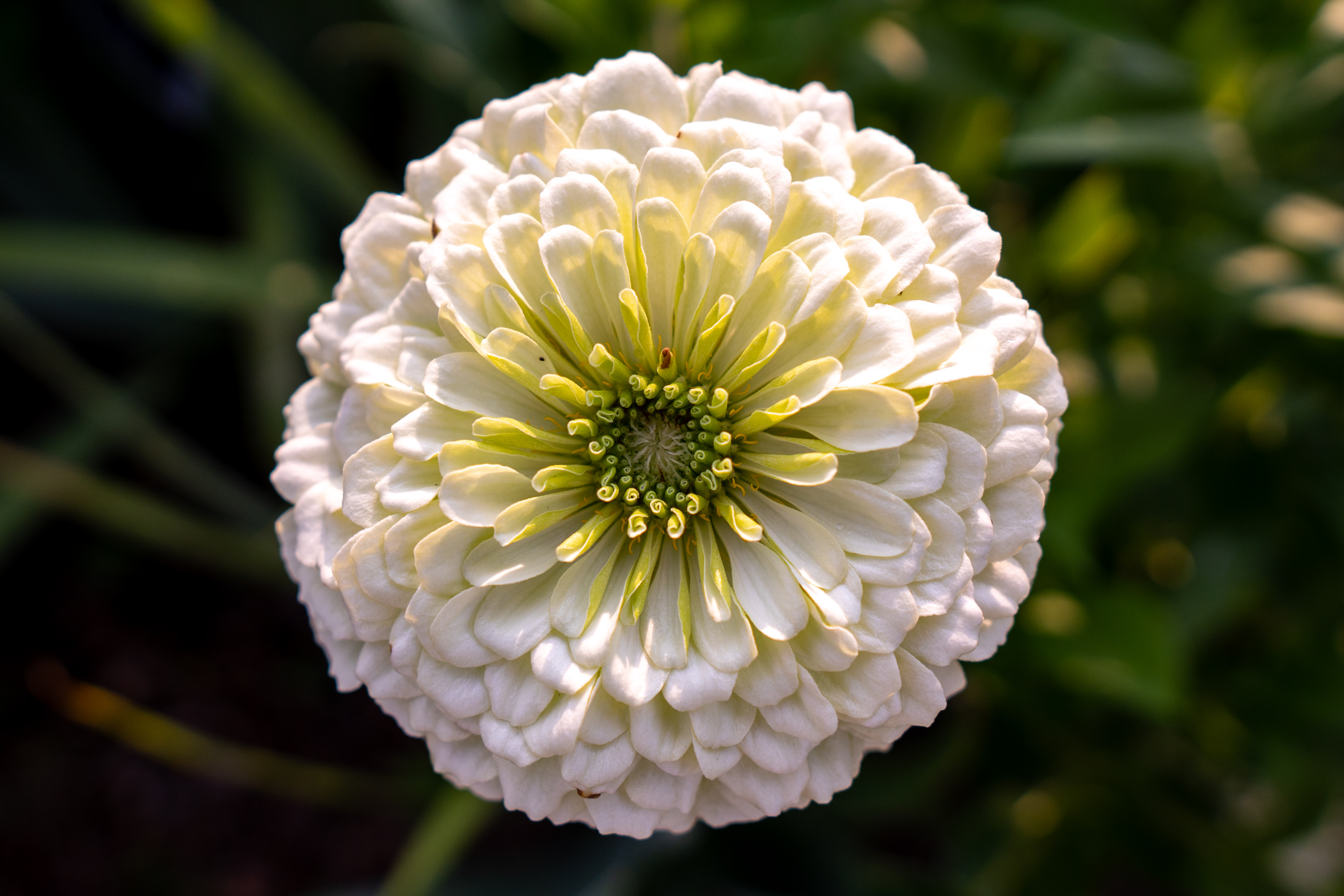 Photo taken on 2024-07-24