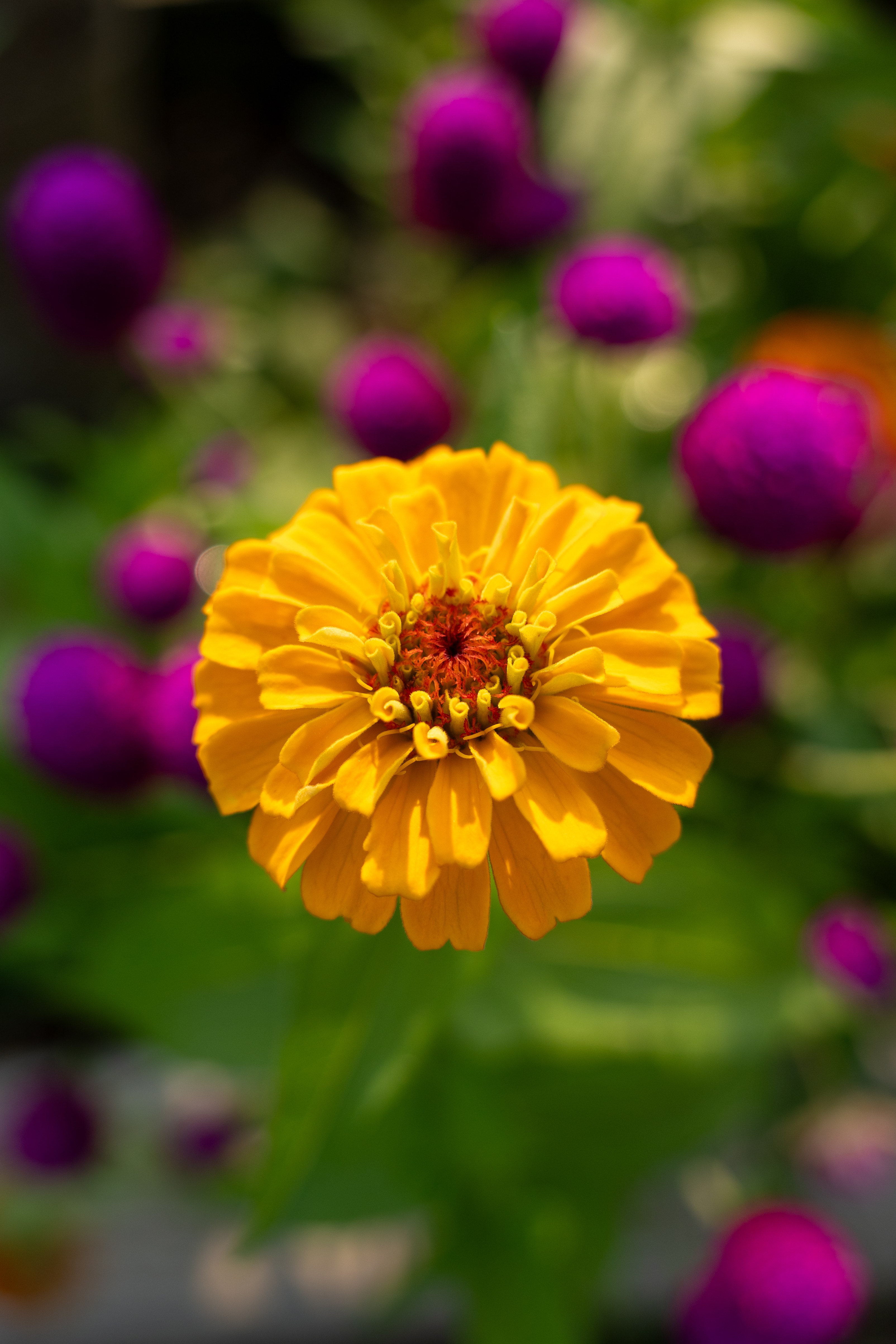 Photo taken on 2024-07-24