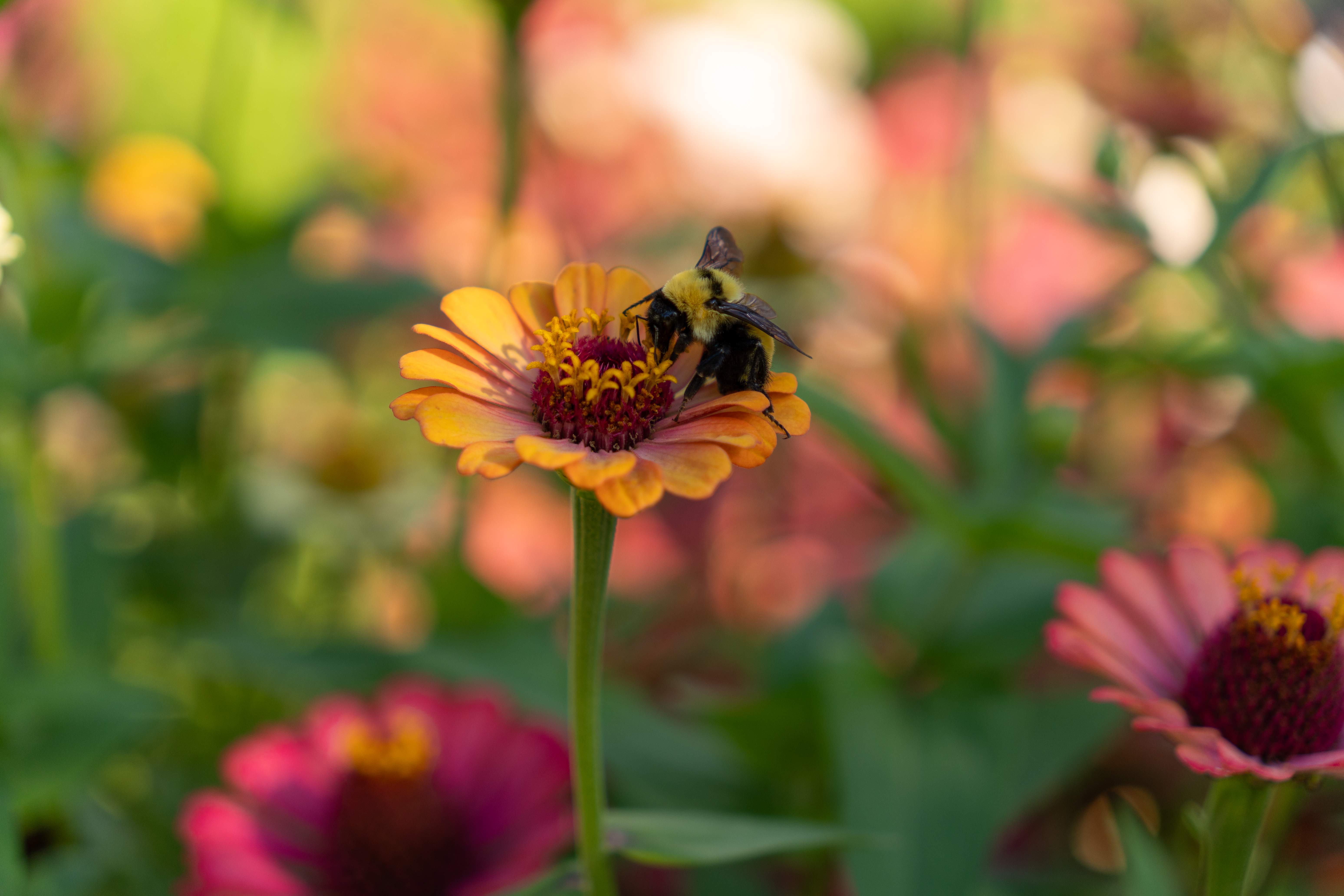 Photo taken on 2024-08-11