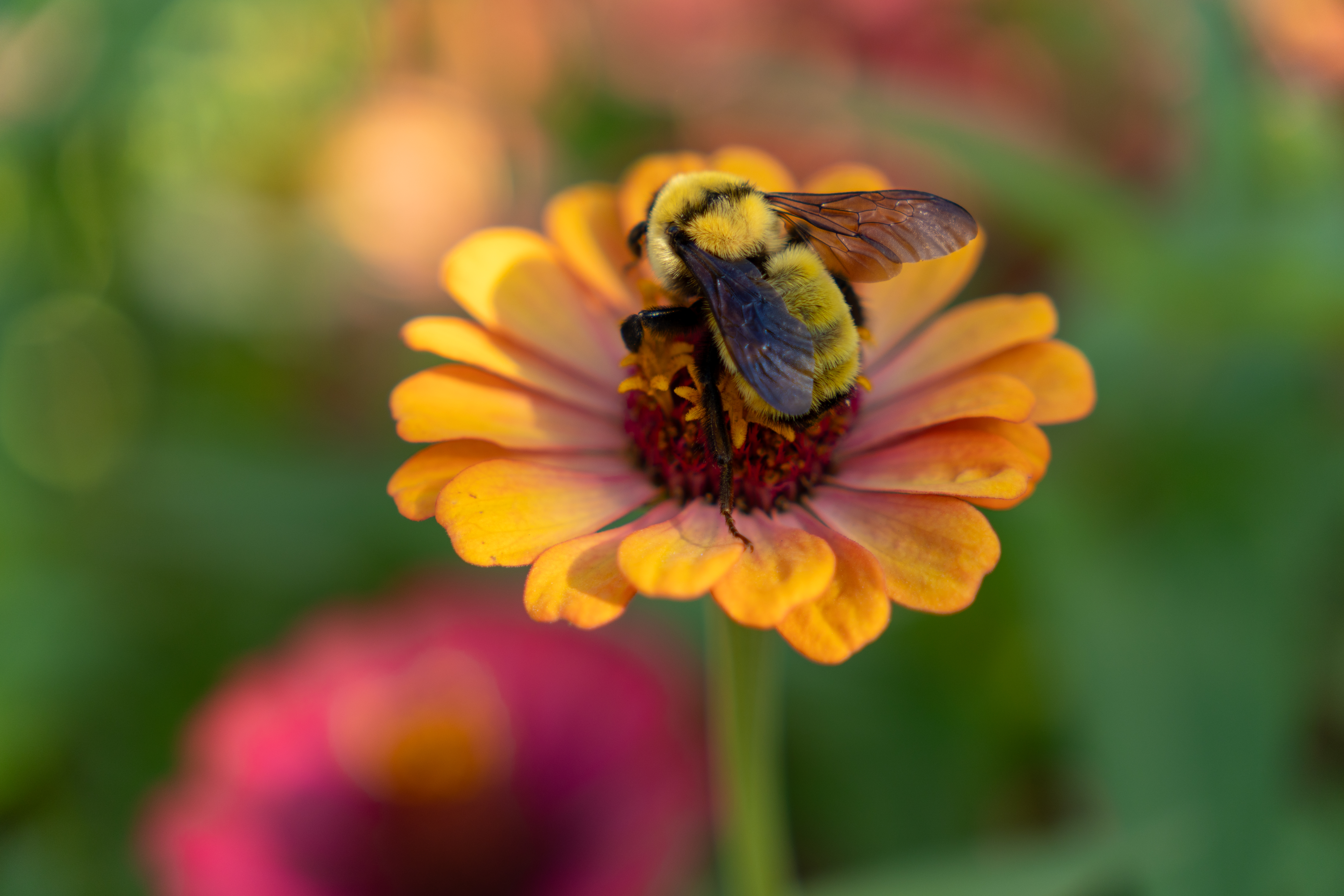 Photo taken on 2024-08-11