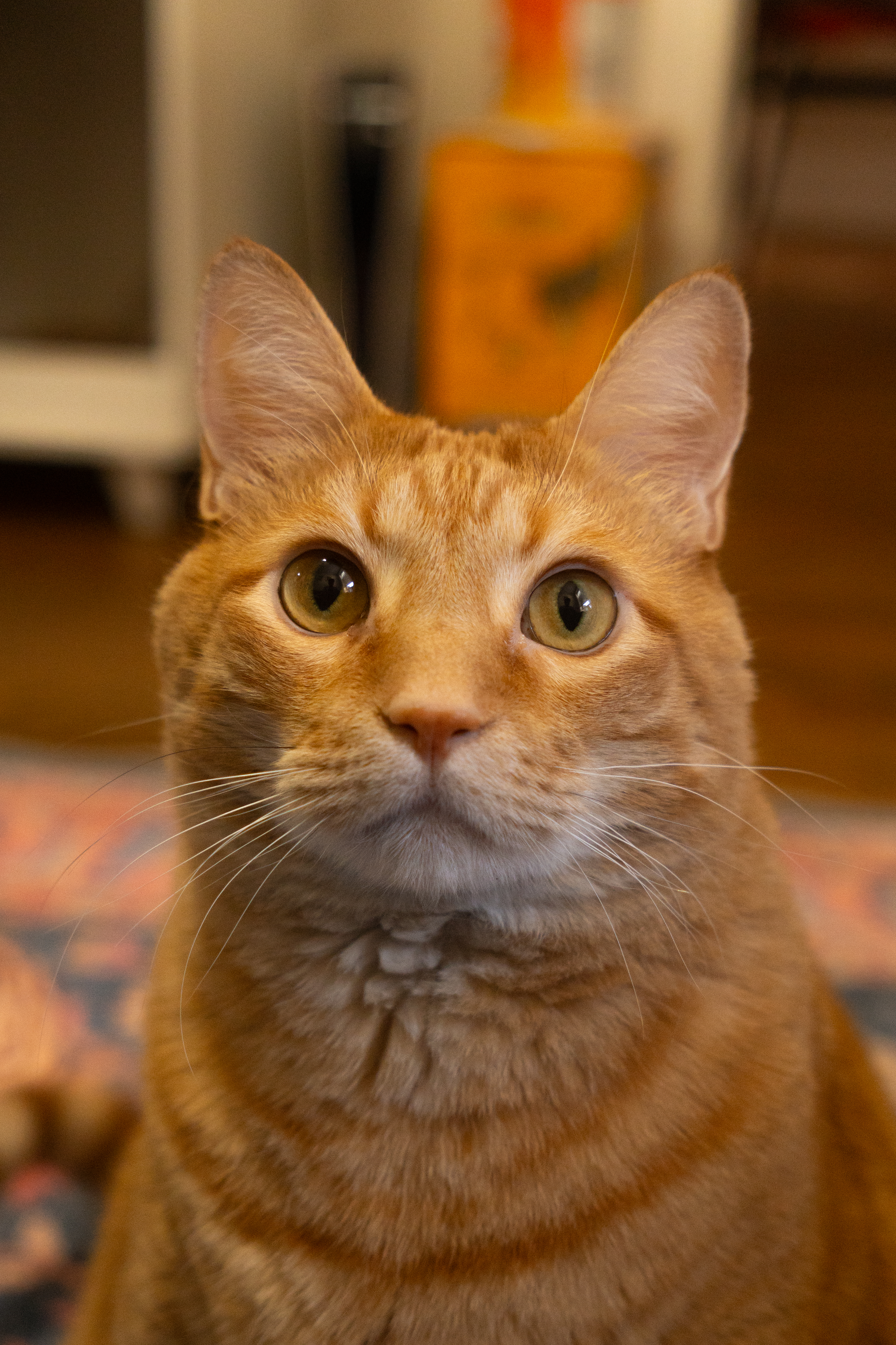 Photo taken on 2024-10-08