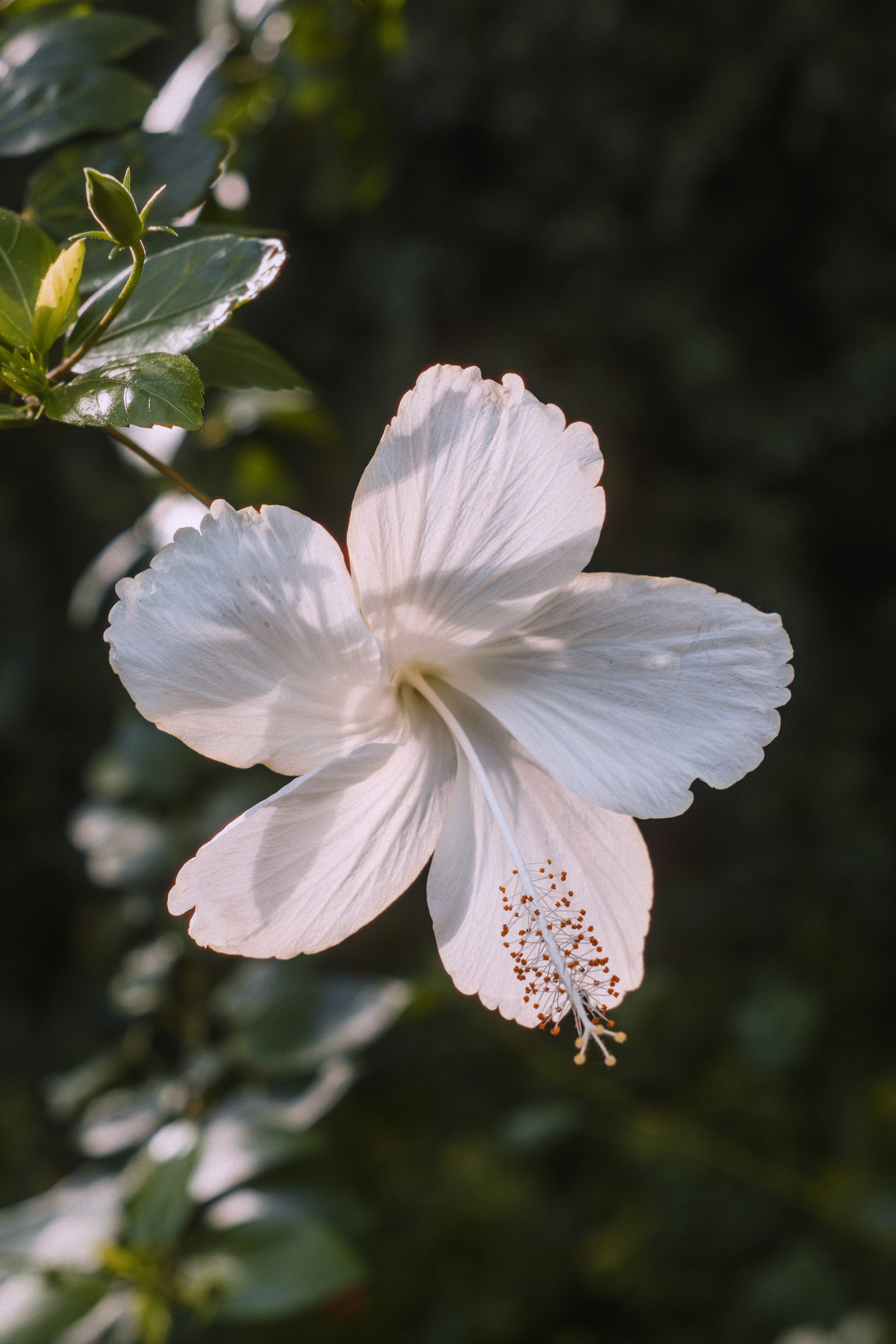 Photo taken on 2024-10-25