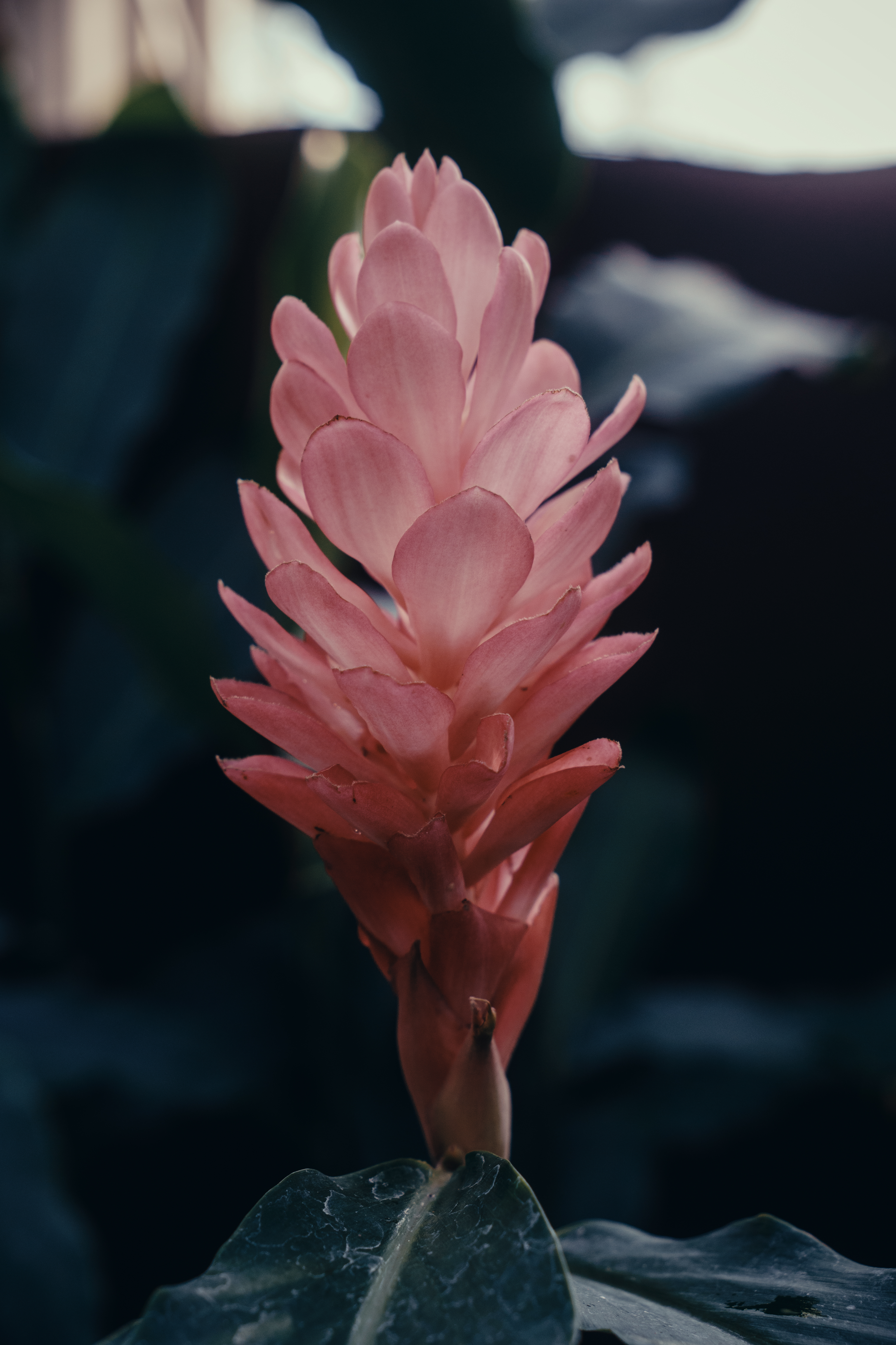 Photo taken on 2024-10-25