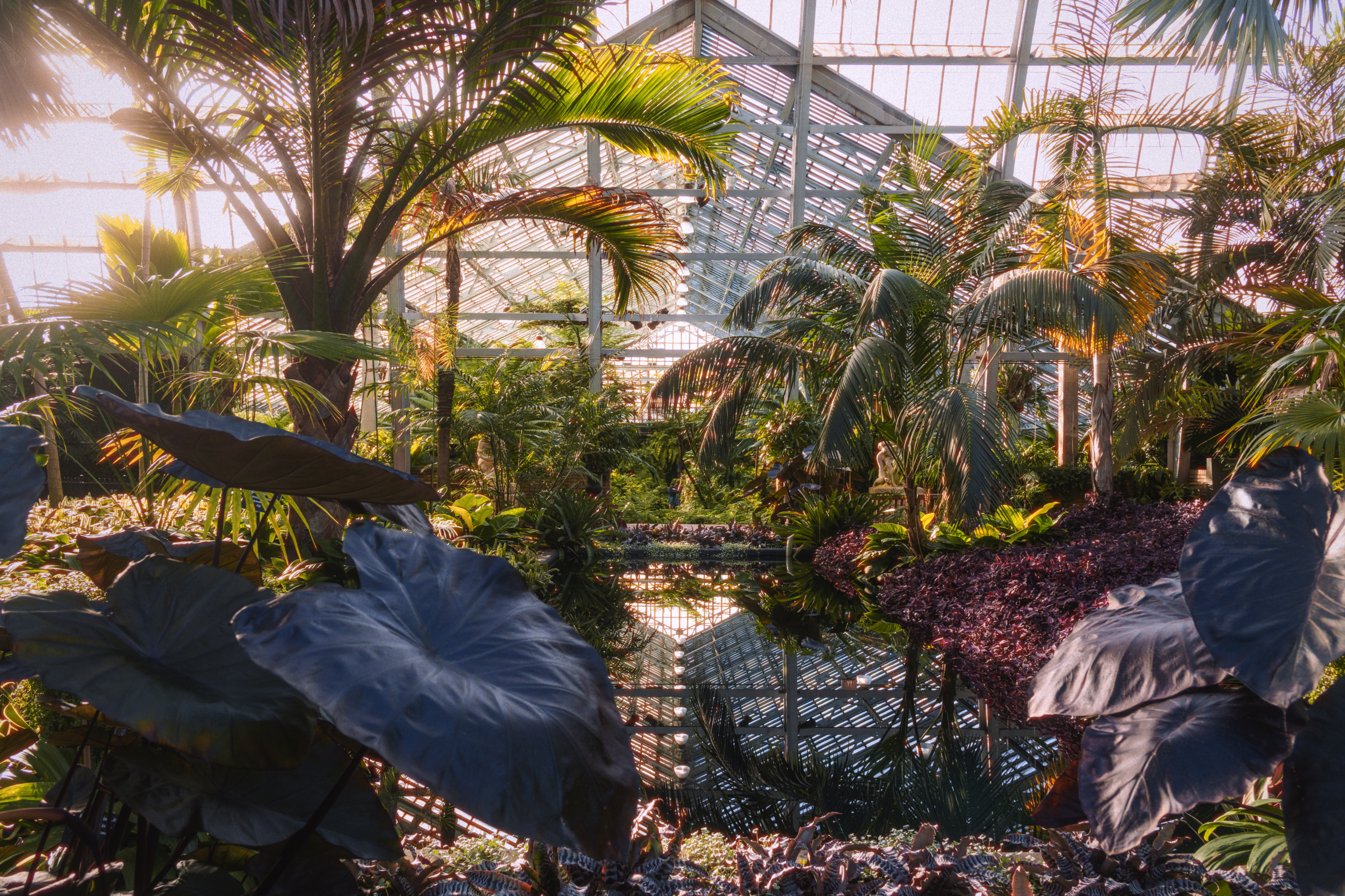 Photo taken on 2024-10-25