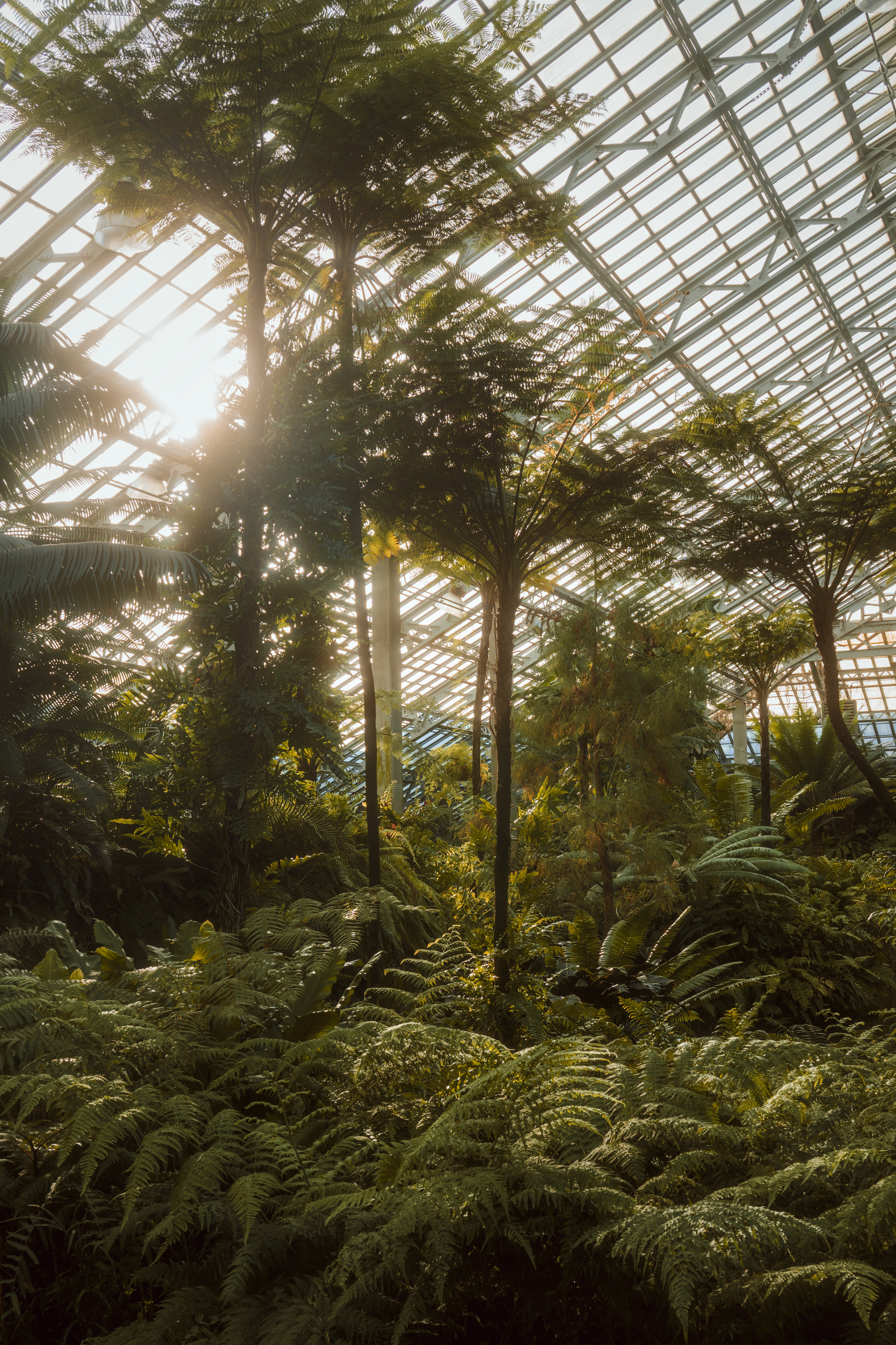 Photo taken on 2024-10-25