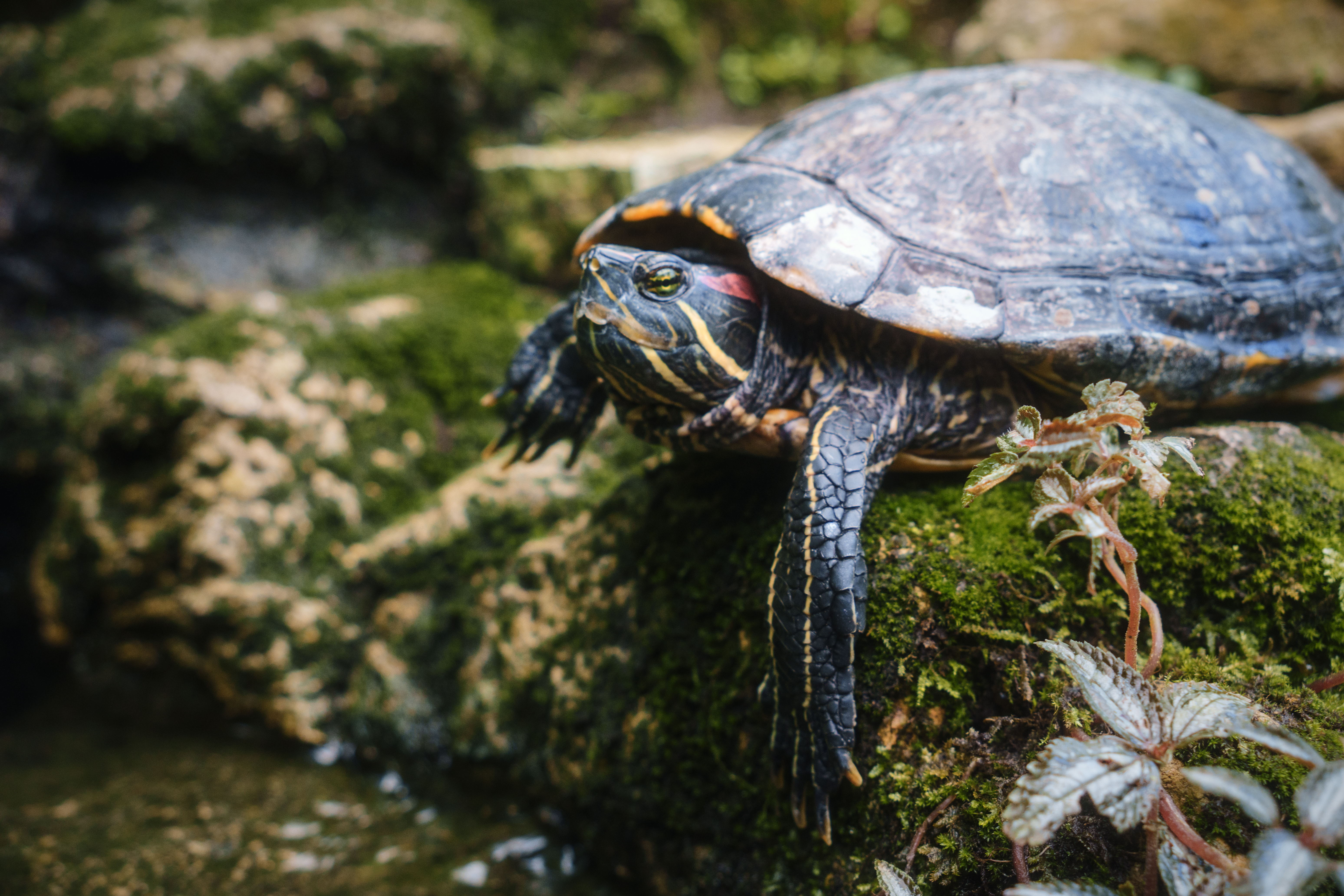 Photo taken on 2024-10-25