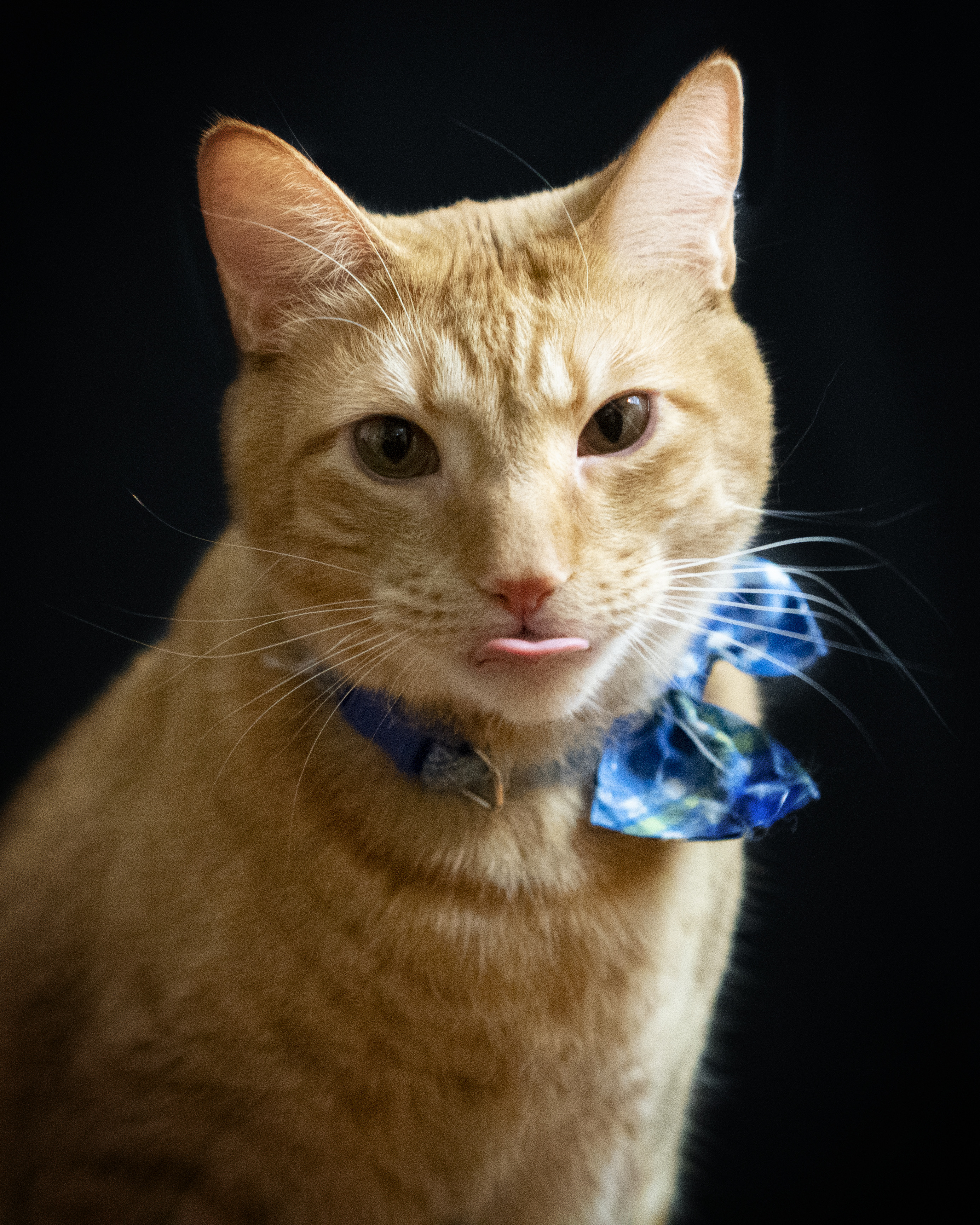 Photo taken on 2019-01-29