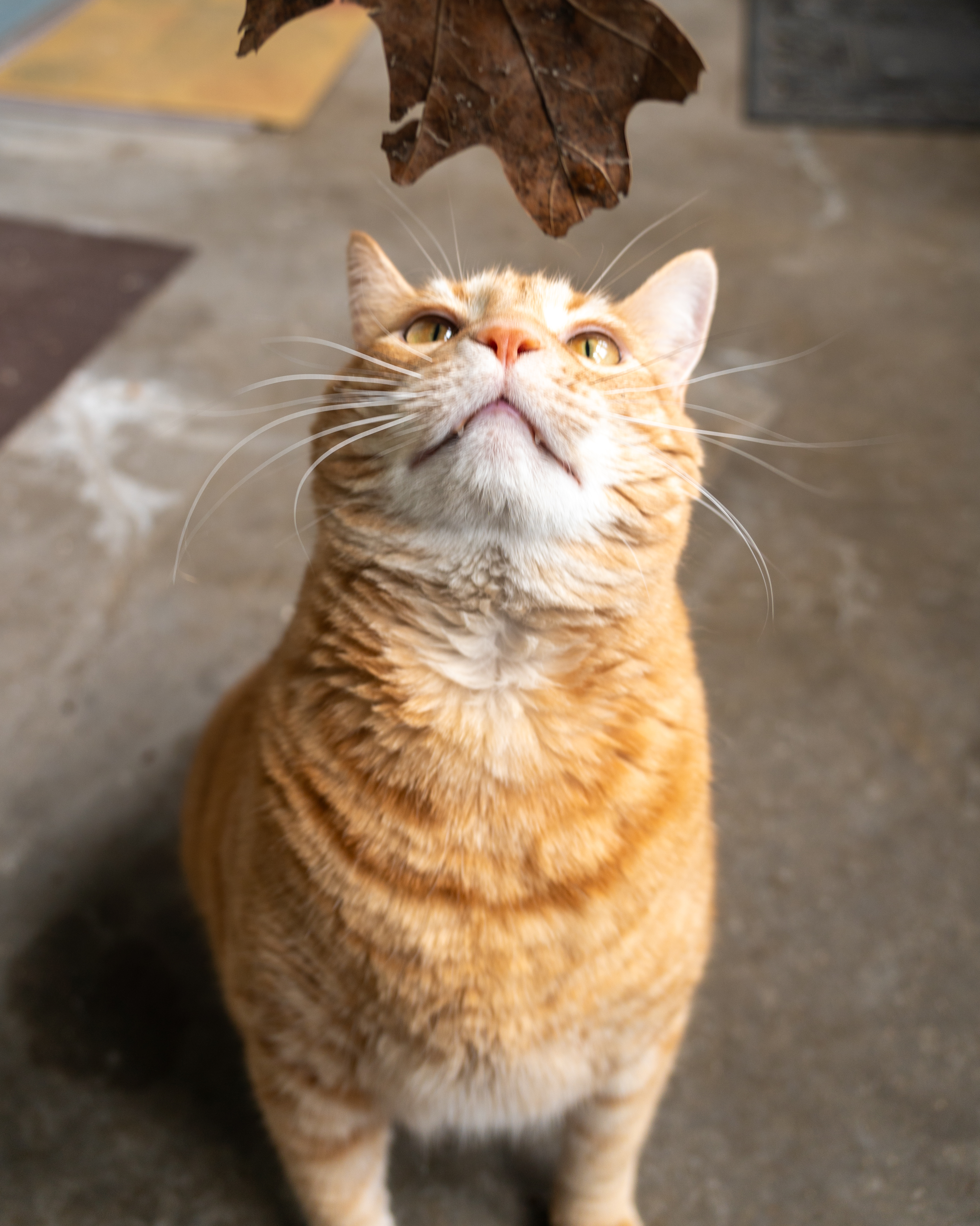 Photo taken on 2024-05-26