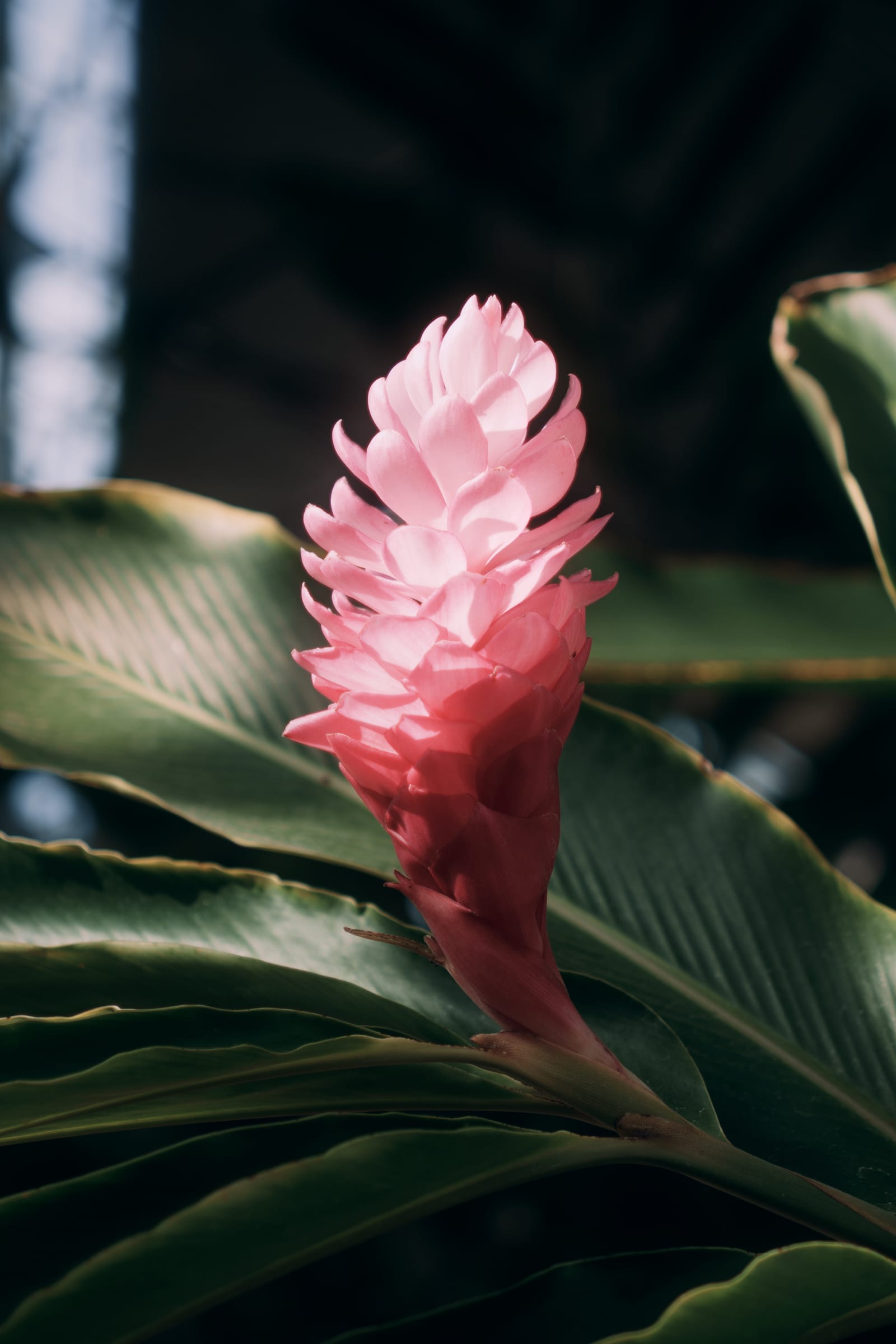 Photograph by Amir Abdur-Rahim, 2025-05-07 — ILCE-6700, 18-50mm F2.8 DC DN | Contemporary 021