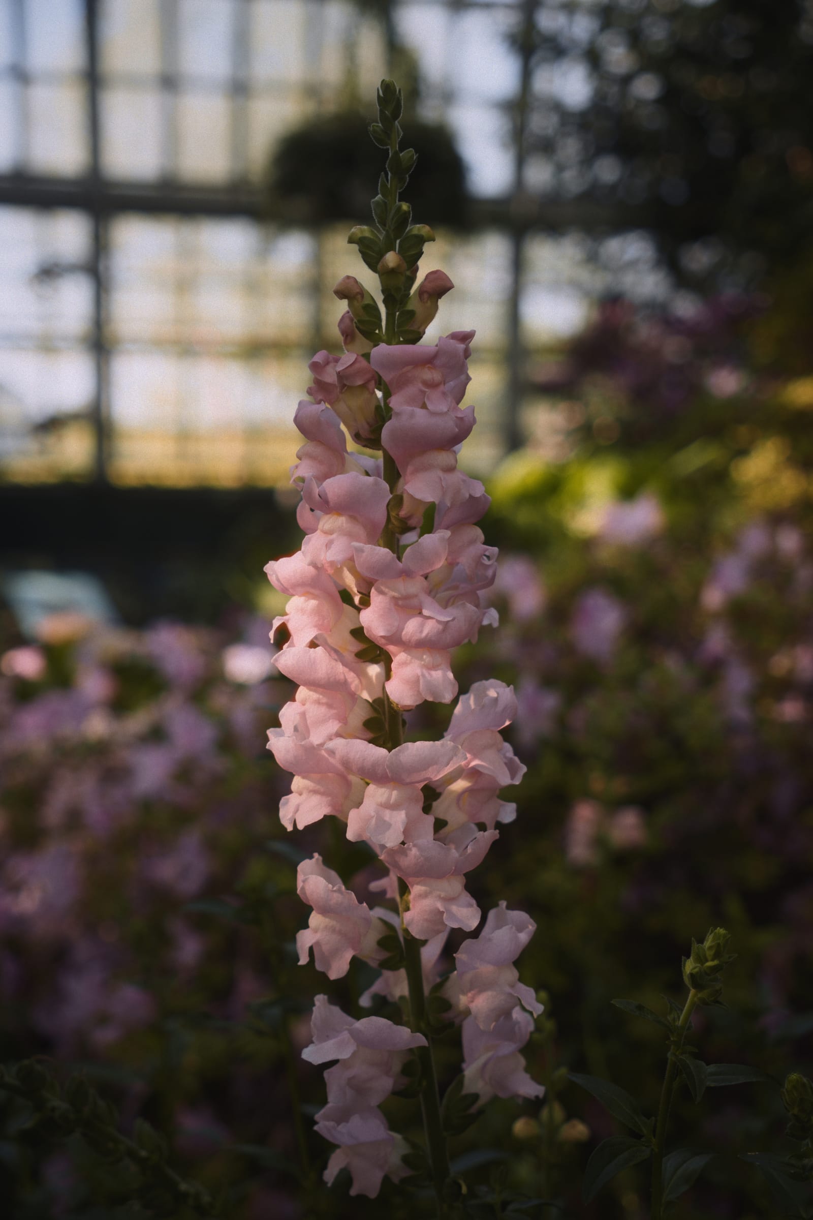 Photograph by Amir Abdur-Rahim, 2025-05-07 — ILCE-6700, 18-50mm F2.8 DC DN | Contemporary 021