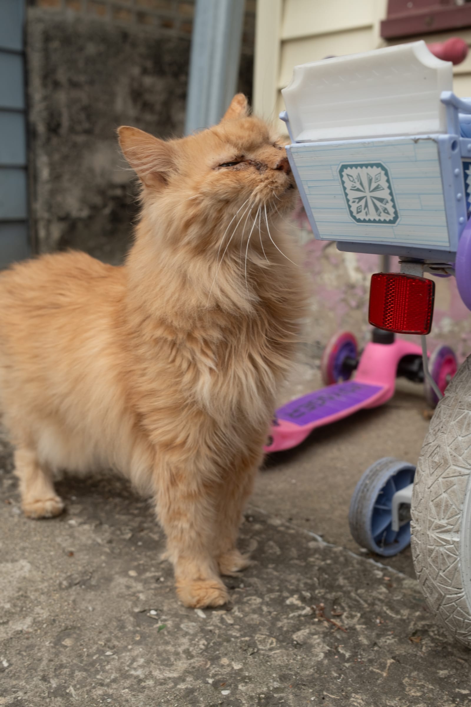 Photograph by Amir Abdur-Rahim, 2026-03-10 — X100VI, 23mm F2